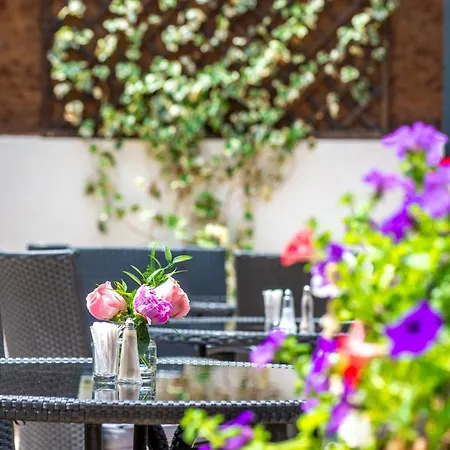 Del Mar&conference Center Hotel Mamaia